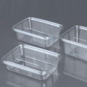 DISPOSABLE PET & HINGED CONTAINERS