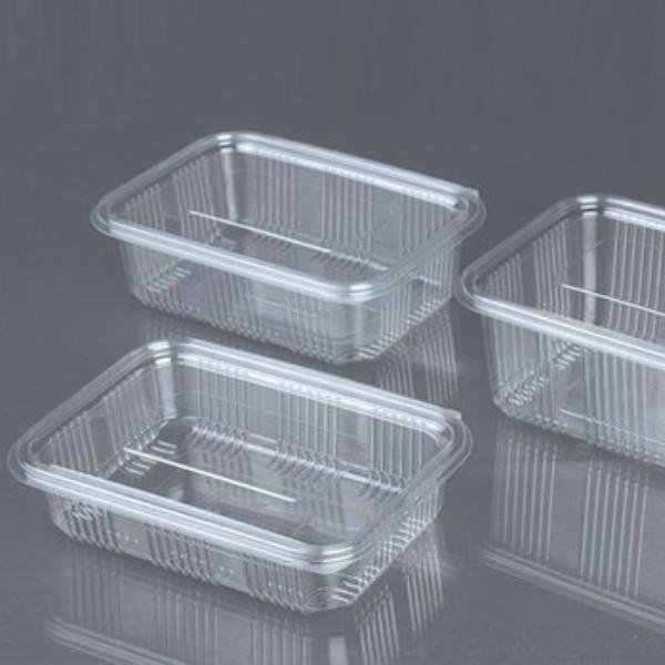 Plastic Container Transparent - 2000ml - Disposable Bazaar