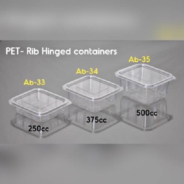 Rectangular Container with Flip Top Lid