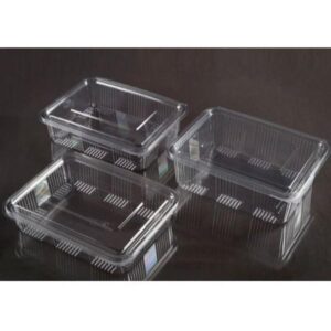 Disposable Pet Super Food Container + Lid - 100g (Square) Transparent