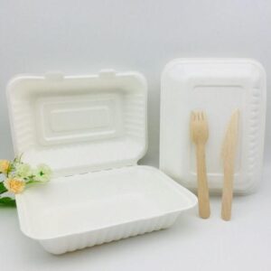 BAGASSE PLATES, BOWLS & CONTAINERS