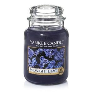 Clear Cosmetic Glass Jar with Vaccum Cap - 100ml