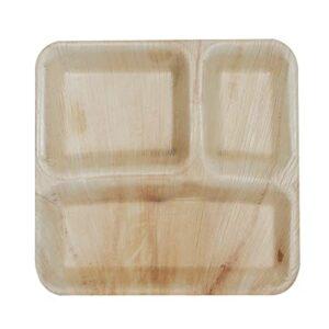 Areca Plate 3CP- 9x9" (Inch) Square