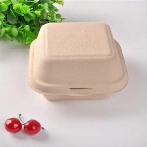 BAGASSE CONTAINERS