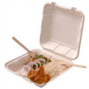 Bagasse Container Clamshell Box - 9x9" (inch) Square