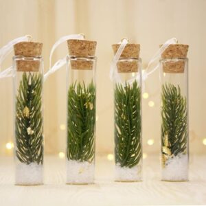 Flat Bottom Glass Test Tube with Wooden Cork (All Sizes)